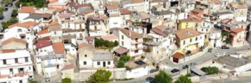 Camini